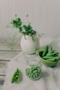 Served table with vases with flowers Royalty Free Stock Photo