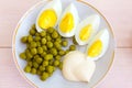Served tasty egg salad meal close up view. Royalty Free Stock Photo