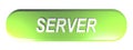 SERVER green rounded rectangle pushbutton - 3D rendering illustration
