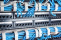 Server rack with blue cables Royalty Free Stock Photo