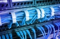 Server rack with blue cables Royalty Free Stock Photo