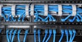 Server rack with blue internet patch cord cables Royalty Free Stock Photo