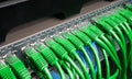 Server rack with green internet patch cord cables Royalty Free Stock Photo
