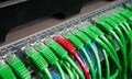 Server rack with green and red internet patch cord cables Royalty Free Stock Photo