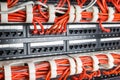 Server rack with red cables Royalty Free Stock Photo