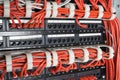 Server rack with red cables Royalty Free Stock Photo
