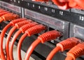 Server rack with red cables Royalty Free Stock Photo