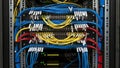 Server room with organized colorful network cables Royalty Free Stock Photo