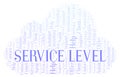 Service Level word cloud.