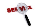 Service magnifying glass