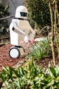 Service robot is gardening