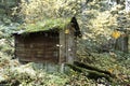 Service shed in an old growth forest preserve Royalty Free Stock Photo