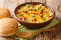 Serving of cheeseburger soup with vegetables, ground beef, bacon and cheese close-up in a bowl. horizontal Royalty Free Stock Photo