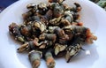 Serving of cooked large barnacles ready to eat served on a white plate