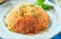 Serving of delicious Greek tomato rice pilaf Royalty Free Stock Photo