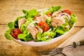 Serving of fresh tuna salad Royalty Free Stock Photo