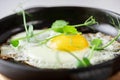 Serving fried eggs in cast iron pan microgreen sprouts baby beans pea and sunflower on white background Royalty Free Stock Photo