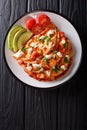 Serving Mexican Entomatadas with cottage cheese, tomato sauce, g Royalty Free Stock Photo