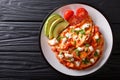 Serving Mexican Entomatadas with cottage cheese, tomato sauce, g Royalty Free Stock Photo