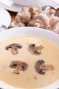 Serving of mushroom cream soup Royalty Free Stock Photo