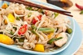 Serving of oriental warm noodle chicken salad Royalty Free Stock Photo