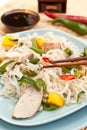 Serving of oriental warm noodle chicken salad Royalty Free Stock Photo