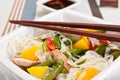 Serving of oriental warm noodle chicken salad Royalty Free Stock Photo