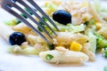 Serving of pasta tubes with olives Royalty Free Stock Photo