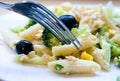 Serving of pasta tubes with tuna and olives Royalty Free Stock Photo