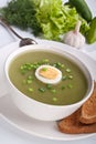 Serving of spinach cream soup Royalty Free Stock Photo