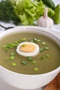 Serving of spinach cream soup with vegetables Royalty Free Stock Photo