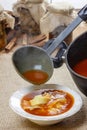 Serving tomato soup. Pouring soup in a plate Royalty Free Stock Photo