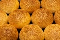 Sesame buns close-up. Royalty Free Stock Photo