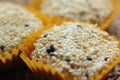 Sesame Coated Glutinous Rice Cookies