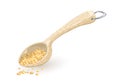 Sesame, coriander or fenugreek seeds are in measuring wooden or plastic spoon.