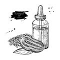 Sesame essential oil bottle and seeds hand drawn vector
