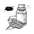 Sesame essential oil bottle and seeds hand drawn vector