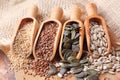 Sesame, flax, pumpkin and sunflower seeds Royalty Free Stock Photo