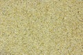 Sesame grain seed full frame closeup