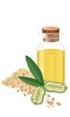 Sesame Oil, seeds, fruit, leaf, Vecctor illustration