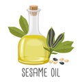 Sesame oil, seeds and sesame plant. Sesame seed oil. Food. Illustration Royalty Free Stock Photo