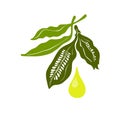 Sesame oil. Vector symbol. Healthy seed, organic