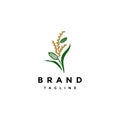 Sesame Plant Between Rice Plants Logo Design