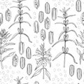 Sesame plant. Vector pattern