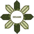 Sesame, Round frame in color 3