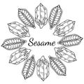 Sesame, Round frame 1