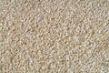 Sesame Seed background - texture of seeds Royalty Free Stock Photo