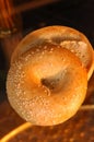Sesame seed bagel Royalty Free Stock Photo