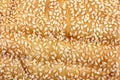 Sesame seed Italian bread loaf Royalty Free Stock Photo