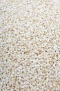 Sesame seed texture. Sesame seeds pattern as background. Royalty Free Stock Photo